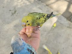 -成都欢乐谷