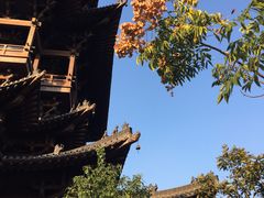 -杭州半山国家森林公园