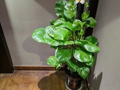 -汉傧足道&SPA(新区店)