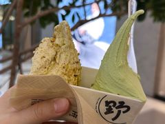 -野人先生Gelato(上海长宁龙之梦店)