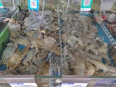 -清水湾3号(东方小周海鲜店)