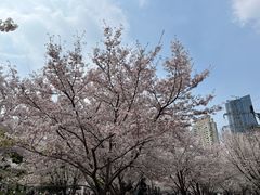 -小秋水饺(大成路总店)