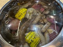 -船梆煮•蒸汽海鲜·炉火烤肉(五四广场店)