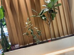 -Bco豆库(星耀天地店)