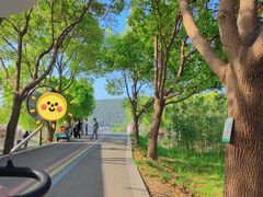 -苏州太湖西山岛开心农场