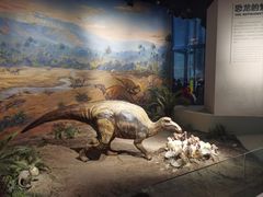-自贡恐龙博物馆