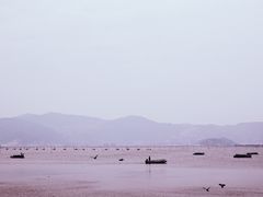 -北岐滩涂