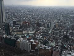 -东京都厅舍
