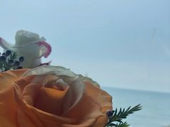 -青岛海景花园大酒店·白果树餐厅青岛菜