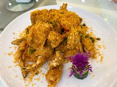 帝王蟹-荔城生鲜盛宴(番禺旗舰店)