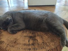 -Me Coffee下午茶艺术空间