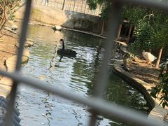 -水绘园