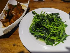 -金枝玉叶上海人家食府(三里河店)