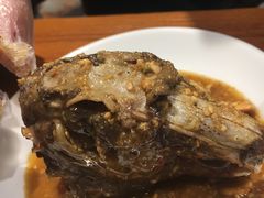 -老号尤兔头(幸福店)