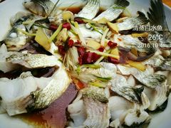 清蒸白水鱼-山涧阁农家菜(南北湖店)
