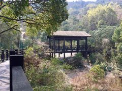 -白马涧龙池景区