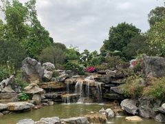 -东莞植物园