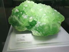 -湖南省地质博物馆