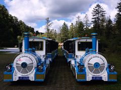 -五营红松林海景区