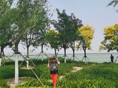 -天津东丽湖风景区