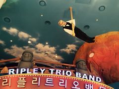 -信不信由你博物馆