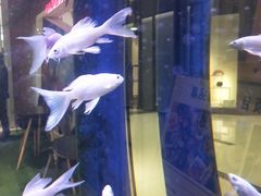 -远洋未来广场(育慧北路店)