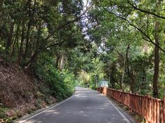 -三门江国家森林公园