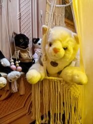 -疯狂冒险家-亲子密室-东坝店(金隅嘉品店)