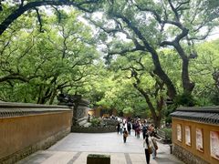 -普陀山风景名胜区-法雨禅寺