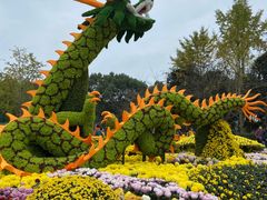 -南山植物园