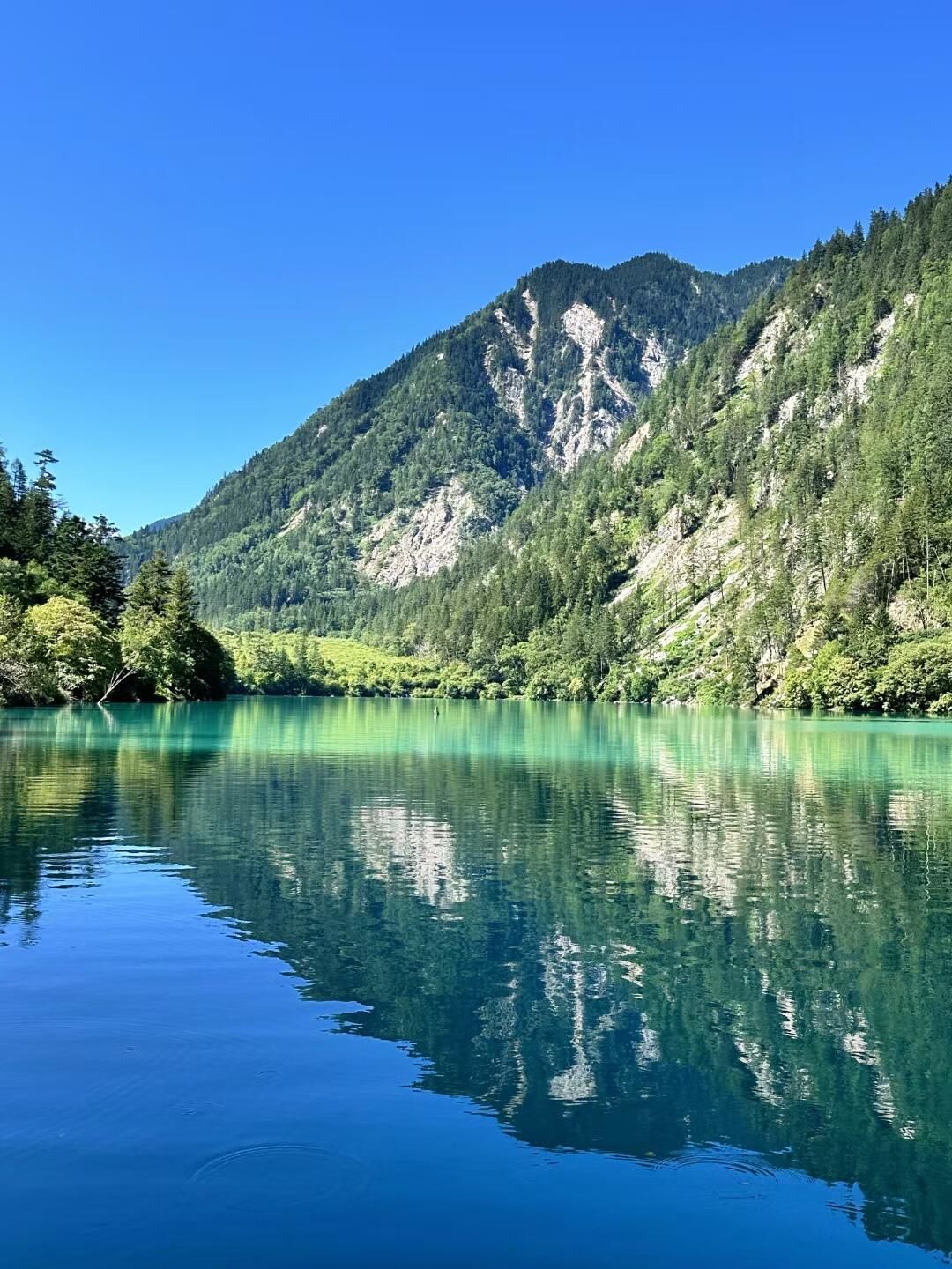 原来"九寨归来不看水"说的都是真的!