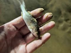 -烟台金沙滩海滨公园