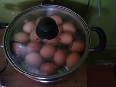 餐饮-乐屿乐趣