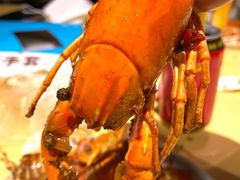 精品潜江油焖小龙虾-小田油焖小龙虾(双井店)