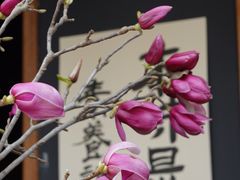 -苏州本色美术馆