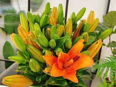 -森野花艺培训·企业团建活动沙龙