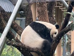 -无锡动物园·太湖欢乐园