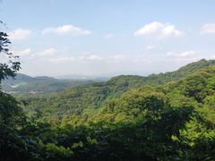 -广州市帽峰山景区