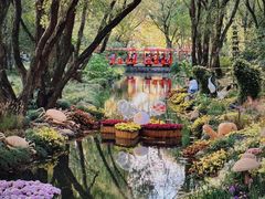 -上海共青森林公园