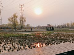 -永定河休闲森林公园