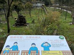 -中国大熊猫保护研究中心雅安碧峰峡基地