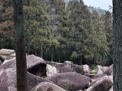 -玉苍山国家森林公园