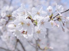 -苏州上方山国家森林公园