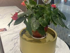 -康师傅私房牛肉面(申虹餐厅店)