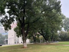 -长沙市青少年宫