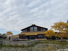 -宁波杭州湾国家湿地公园