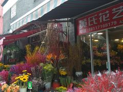 -平吉花卉市场