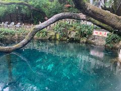 -蝴蝶泉公园