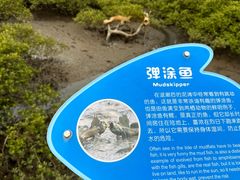 -北海金海湾红树林生态旅游区