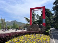 -丁老爷子苏香圆